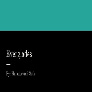 Everglades Information
