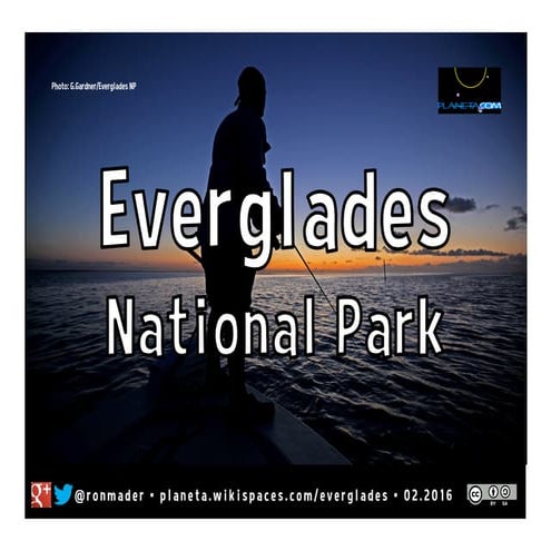 Everglades National Park 