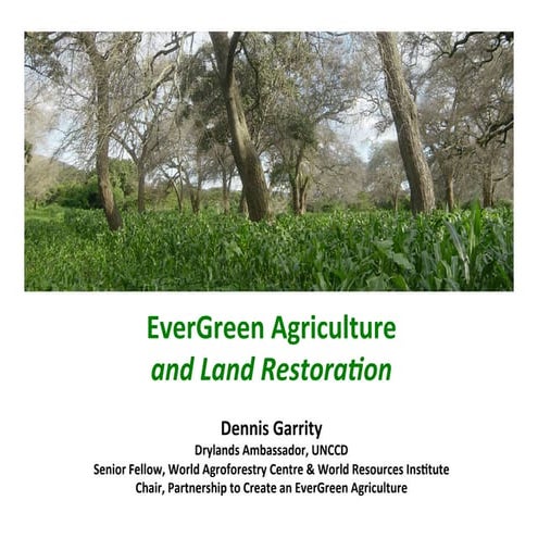 Evergreen agriculture and land restoration