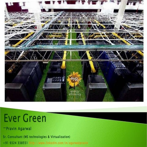 Ever Green Dc