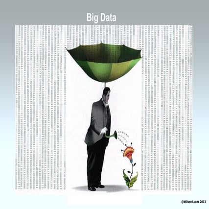 Everis big data_wilson_v1.4