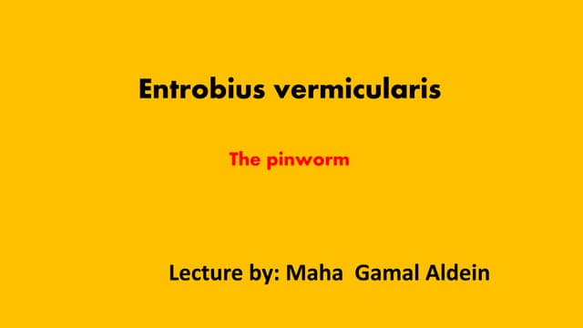 Enterobius vermicularis(PINWORM) | PPTX