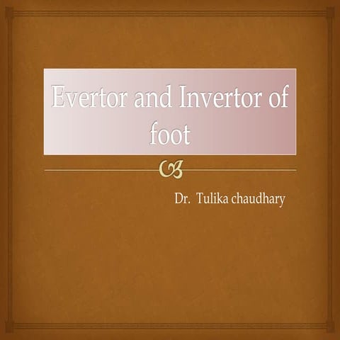 Evertor and invertor of foot
