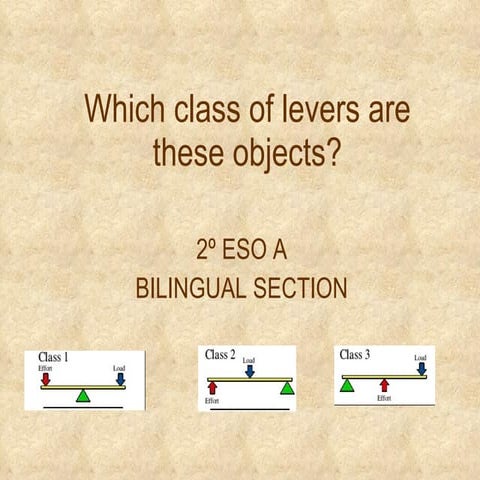 TYPES OF LEVERS
