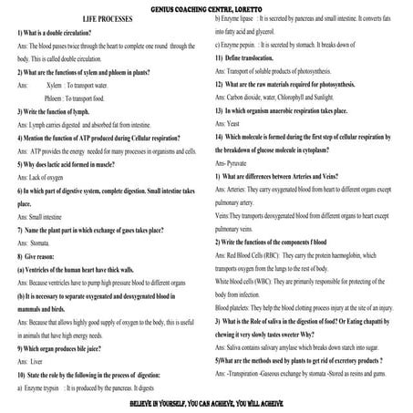 Class X Science Notes Chapter 5 Life Processes | PDF