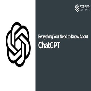 Everything You Need To Know About C...