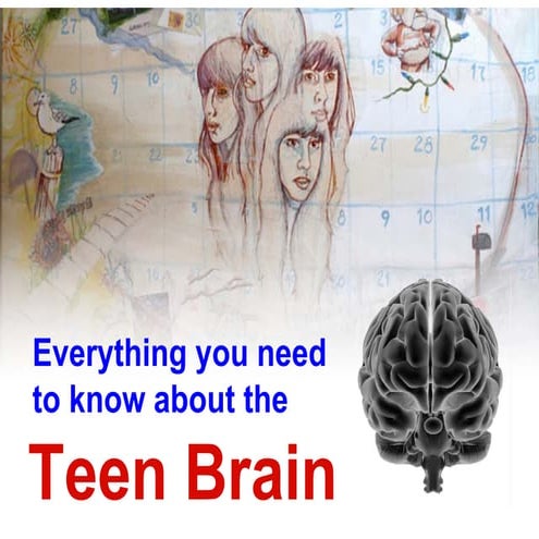 Everything you need to know about the Teen Brain