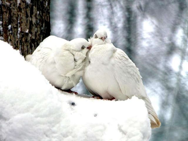 Everything we have, is donated..