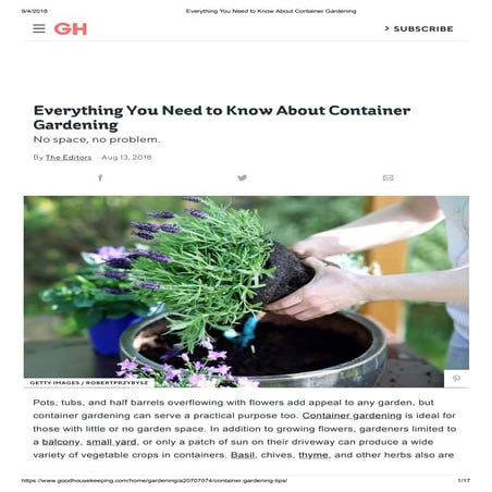 6.2 Organic Container Gardening.pptx
