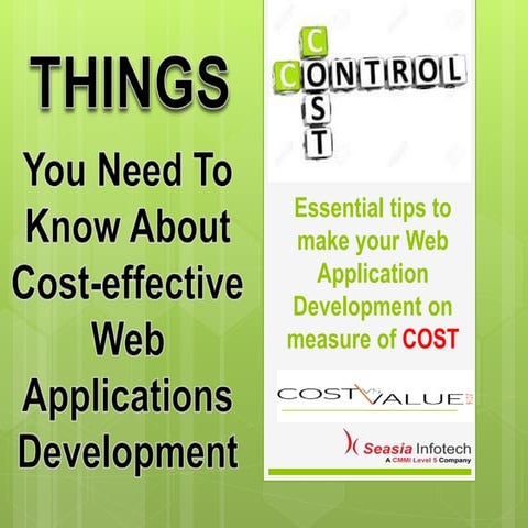 Everything you need to know about cost effective web applications development