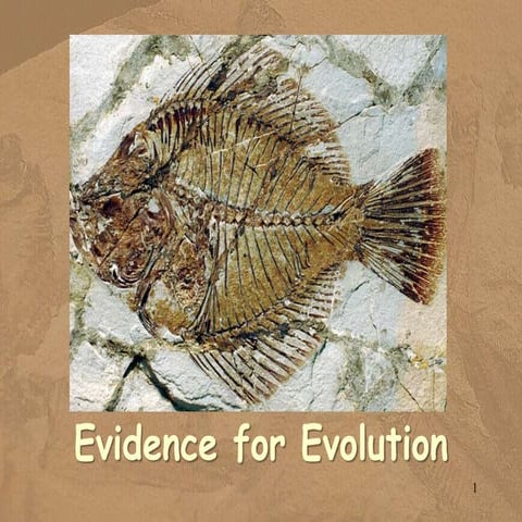 Evidence-of-Evolution.pptx Evolution is a key unifying principle in biology. ...
