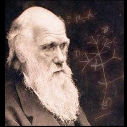 Evidence of evolutionary biology definition of the term