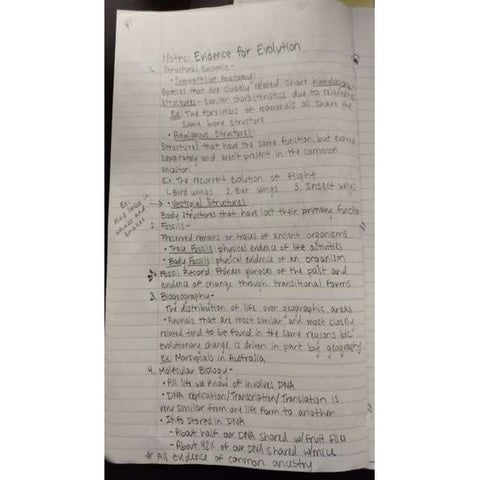 Evidence for evolution notes michaela