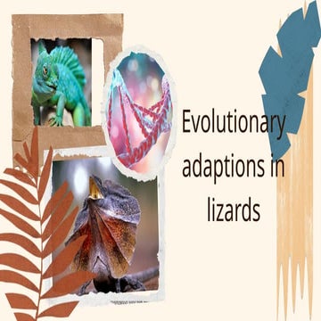 Lizards notes | PPT