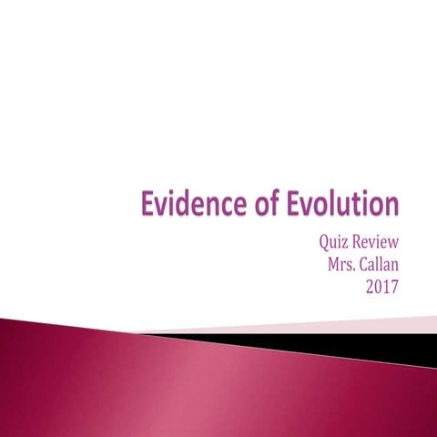 Evidence of Evolution Review