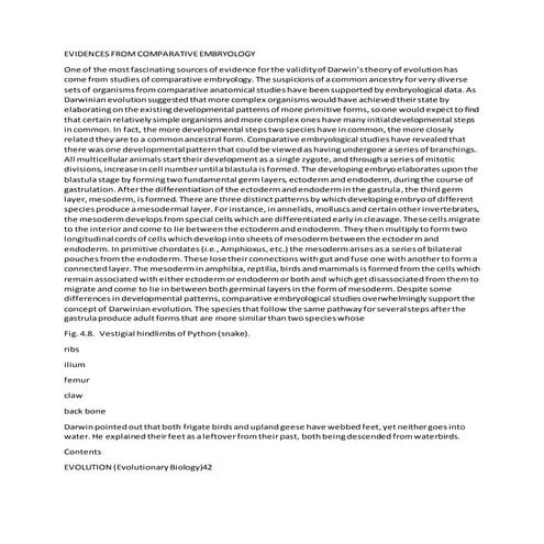 Evidences from comparative embryology