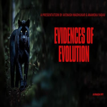 Evidences of Evoltions by Avi_20231130_143245_0000.pdf