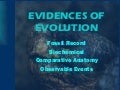Evidences of evolution