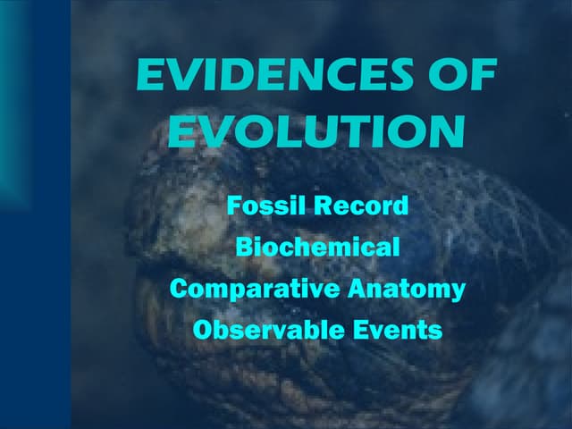 Evidences of evolution