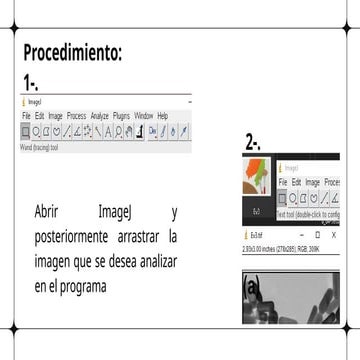 Guía paso a paso para análisis de imágenes y creación de histogramas ...