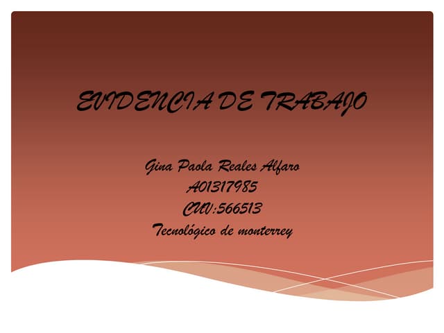 Evidencia de trabajo