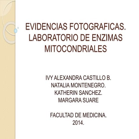 Evidencias fotograficas enzimas mitocondriales