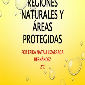 Evidencias fotográficas mapa de regiones naturales y áreas protegidas