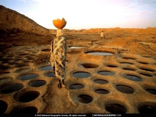 Evilox National Geographic