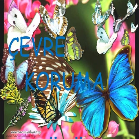 Çevre Kulübü Sunusu