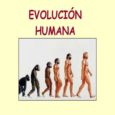 Evolución humana