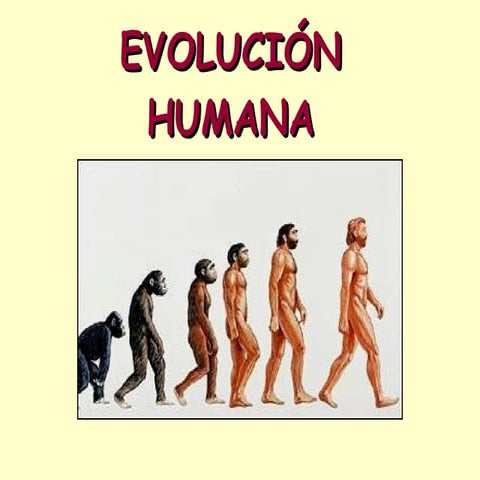 Evolución humana ppt
