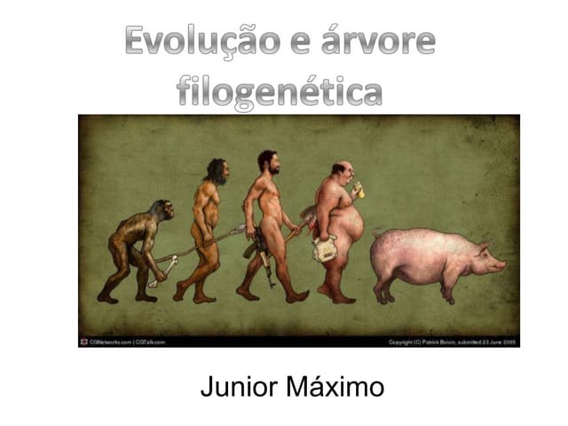 EvoluçAo