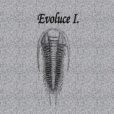 Evoluce I 2007 | PPT