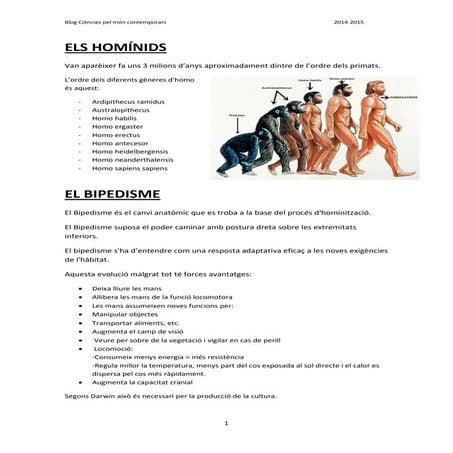 Evolució (Blog CMC)