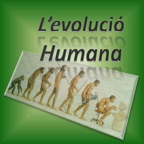 L'Evolució humana