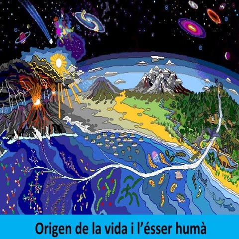 Evolució i origen de la vida