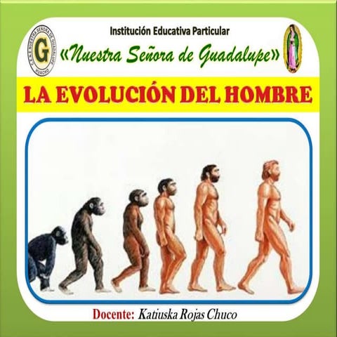 Evolución 1