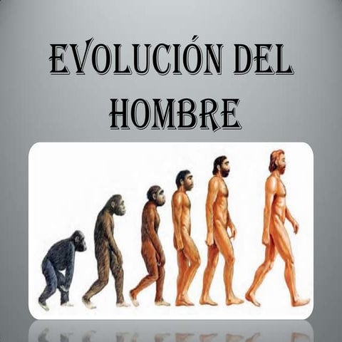 Evolución del hombre.2