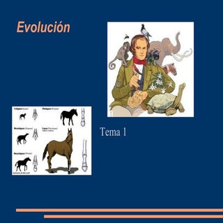 Evolución tema 1