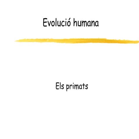 Evolucio Humana Final (Pp Tminimizer)