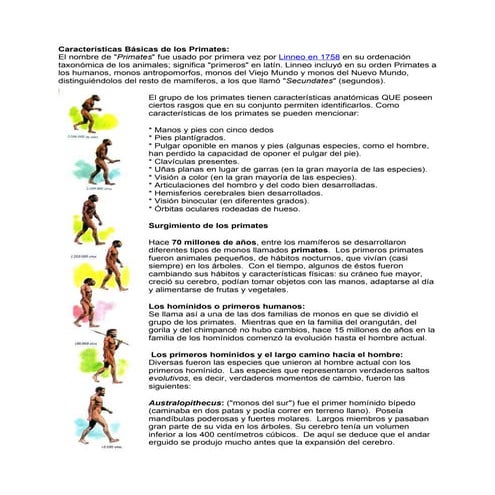 Antropogenesis (evolucion del hombre) | PPTX