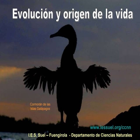 Evolución 1.- Fijismo y evolucionismo