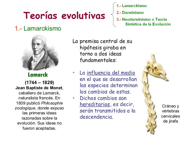 Evolución 3. Teorías evolutivas