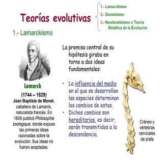 Evolución 3.- Teorías evolutivas