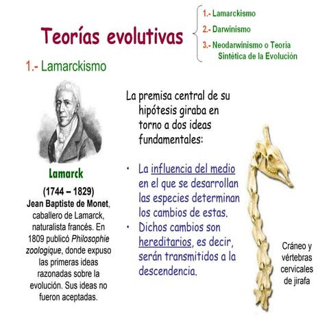 Evolución 3.- Teorías evolutivas