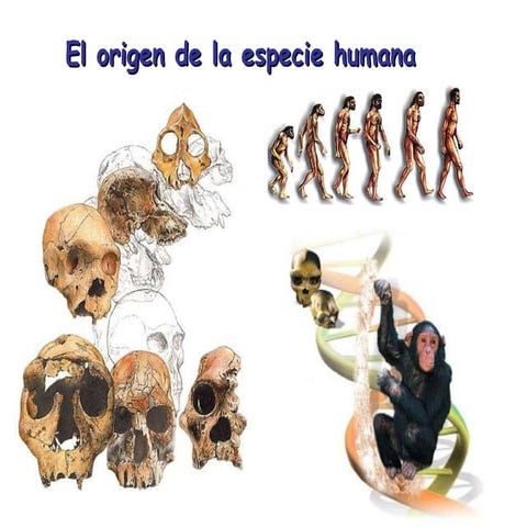 Evolucion07ok2 100524020559-phpapp02
