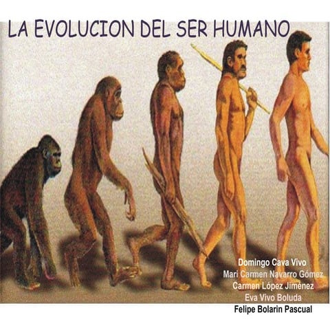 La evolución del ser humano