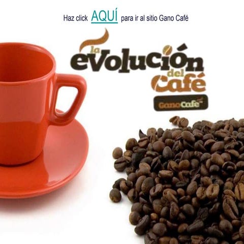 Evolucion del cafe