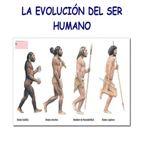 Evolucion Del Hombre LA EVOLUCIÓN DEL HOMBRE ¿Cómo Ha