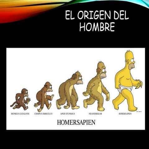 Evolucion del hombre | PPT